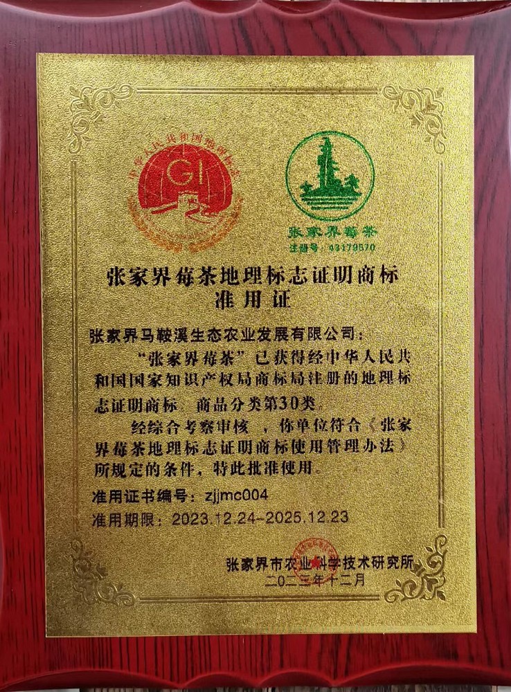 張家界莓茶地理標(biāo)志證明商標(biāo)準(zhǔn)用證